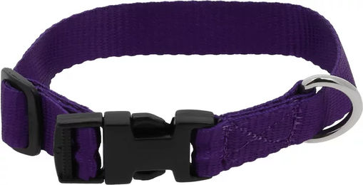 Produktbild von Riding World Hundehalsband aus Nylon in Lila