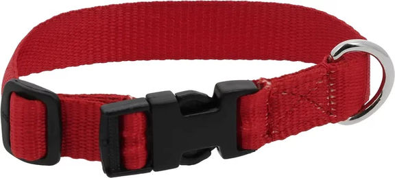 Riding World Hundehalsband aus Nylon in Rot – Bild 1 von 1
