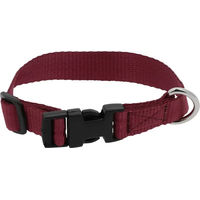 Produktbild von Riding World Hundehalsband aus Nylon in Rot Größe 40