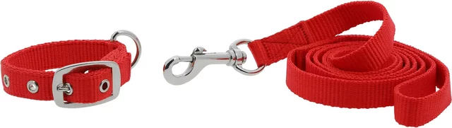 Produktbild von Riding World Hundehalsband und Führleine Oscar in Rot aus Kunststoff