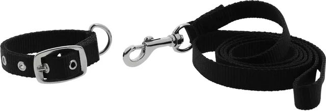 Riding World Hundehalsband und Leine Oscar aus Polypropylen in Schwarz – Bild 1 von 1