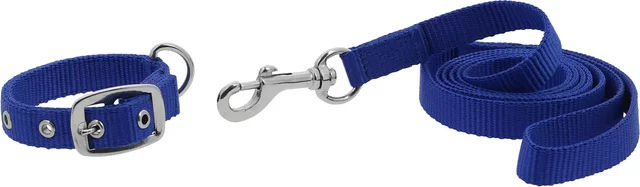Riding World Hundehalsband und Leine Oscar Blau aus Polypropylen – Bild 1 von 1
