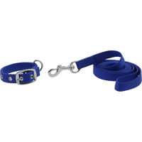 Produktbild von Riding World Hundehalsband und Leine Oscar Blau aus Polypropylen