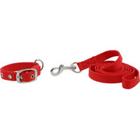 Produktbild von Riding World Hundehalsband und Leine Set Oscar aus Polypropylen in Rot