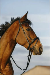 Produktbild von Riding World Kombinierter doppelt gelegter Reitnasenriemen aus Leder für Ponys in Schwarz