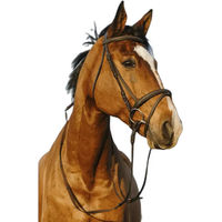 Produktbild von Riding World Kombinierter doppelt gelegter Reitnasenriemen aus Leder in Braun oder Schwarz