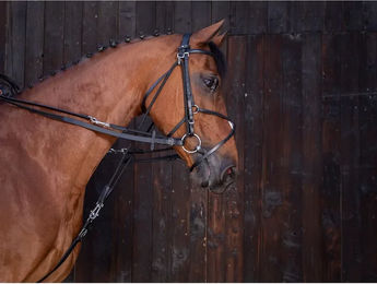 Produktbild von Riding World Lederzügel Schwarz