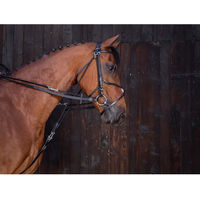 Produktbild von Riding World Lederzügel Schwarz