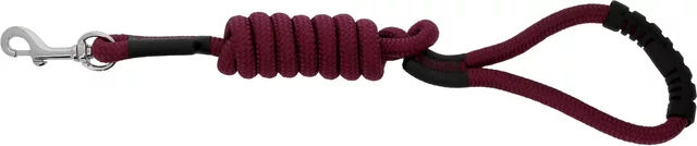 Riding World Lucky Hundeleine mit Griff aus Polypropylen 1,5 m Schwarz Rot Silber – Bild 1 von 1