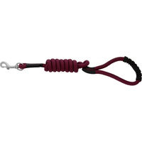 Produktbild von Riding World Lucky Hundeleine mit Griff aus Polypropylen 1,5 m Schwarz Rot Silber