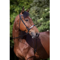 Produktbild von Riding World Muserolle Française Trensenzaum aus Leder für Vollblut in Schwarz