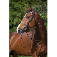 Produktbild von Riding World Muserolle Française Zaumzeug aus Leder für Ponys in Braun