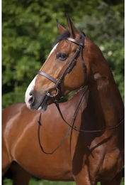 Produktbild von Riding World Muserolle Française Zaumzeug aus Leder für Shetty in Braun oder Schwarz