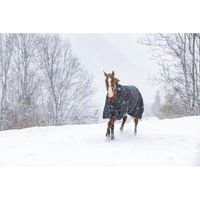 Produktbild von Riding World Pferdedecke aus Oxford-Gewebe wasserfest schwarz 206cm - 206 cm
