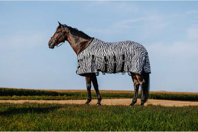 Produktbild von Riding World Pferdedecke Belly Mesh aus Polyester in Schwarz oder Bunt
