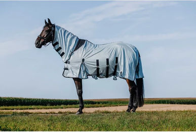 Produktbild von Riding World Pferdedecke Belly Mesh Combo aus Polyester in Grau
