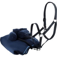 Produktbild von Riding World Pferdezubehör Set aus Halfter, Führstrick, 4 Fleecebandagen und Fleecedecke in Blau aus Polyester