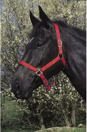 Produktbild von Riding World Pony Halfter und Stricke aus Kunststoff in Rot