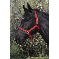 Produktbild von Riding World Pony Halfter und Stricke aus Kunststoff in Rot