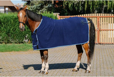 Produktbild von Riding World Präsentationsdecke für Pferde aus Fleece in Blau