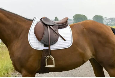 Riding World Schabracke Girly weiß mit Glitzer für Dressur aus Polyester – Bild 1 von 2