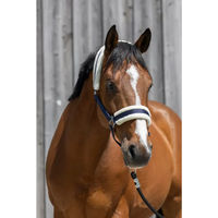 Produktbild von Riding World Shetty Pferdehalfter aus synthetischem Lammfell in Blau mit Silber