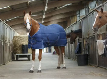 Riding World Stalldecke für Pferde aus Polyester in Marineblau 190cm – Bild 1 von 3