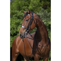 Produktbild von Riding World Trense aus Leder in Schwarz für Vollblut Pferde