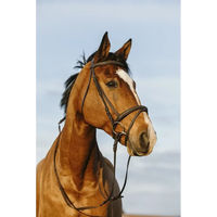 Produktbild von Riding World Trense für Ponys aus Leder in Braun