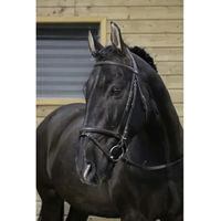 Produktbild von Riding World Trensenzaum aus Leder in Schwarz für Vollblut/VB
