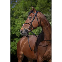 Produktbild von Riding World Trensenzaum mit mexikanischem Reithalfter aus Leder für Warmblut Pferde in Schwarz