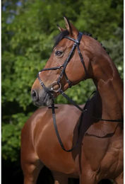 Riding World Trensenzaum mit mexikanischem Reithalfter für Ponys aus Leder in Schwarz – Bild 1 von 5