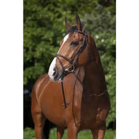 Produktbild von Riding World Trensenzaum Muserolle aus Leder für Warmblut in Havanna