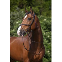 Produktbild von Riding World Trensenzaum Muserolle aus Leder in Braun für Pferde