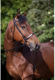 Riding World Trensenzaum Muserolle Française aus Leder für Ponys in Schwarz – Bild 1 von 4