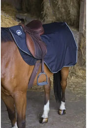 RIDING WORLD wasserdichte Nierendecke für Pferde mit Fleece-Futter Schwarz 155 cm – Bild 1 von 2