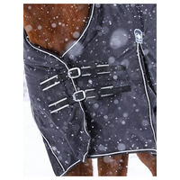 Produktbild von Riding World Wasserdichte Pferdedecke mit Fleece-Futter in Schwarz
