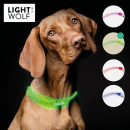 riijk LED Leuchthalsband für Hunde und Katzen grün wasserfest wiederaufladbar - 1 Stk. – Bild 1 von 7