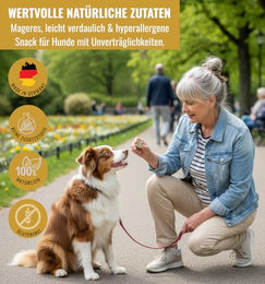 RiNa & the Snaxperts BEE Booster Funktionale Hundesnacks mit Lamm, Bienenpollen, Ziegenkolostrum und Kurkuma, Getreidefrei, 300 g - 10 x 30 g – Bild 1 von 4