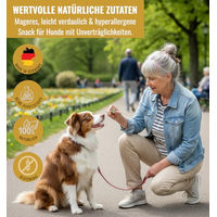 Produktbild von RiNa & the Snaxperts BEE Booster Funktionale Hundesnacks mit Lamm, Bienenpollen, Ziegenkolostrum und Kurkuma, Getreidefrei, 300 g - 10 x 30 g