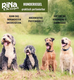 RiNa & the Snaxperts Dynamic Duck Hundesnacks mit Ente, getreidefrei und glutenfrei, Sticks für alle Altersstufen, 300g - 10 x 30 g – Bild 1 von 2