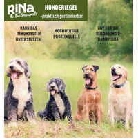 Produktbild von RiNa & the Snaxperts Dynamic Duck Hundesnacks mit Ente, getreidefrei und glutenfrei, Sticks für alle Altersstufen, 300g - 10 x 30 g