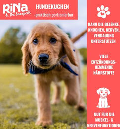 RiNa & the Snaxperts Mineral Magic Hundekuchen mit Pferd, getreidefrei und hypoallergen, 300g - 10 x 30 g – Bild 1 von 4