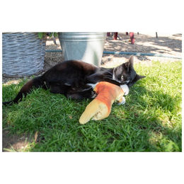 Produktbild von Robocat Elektrisches KatzenSpielzeug Rotauge aus Plüsch 30cm Bunt - 30 cm