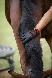 Roeckl Lona Sommer Reithandschuhe für Damen Schwarz Weiß Größe 6.5 – Bild 1 von 13