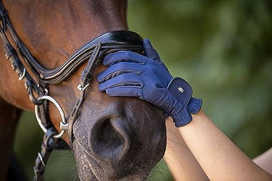 Roeckl Reithandschuh Roeck-Grip Lite Sommer Reithandschuh aus Kunstleder Weiß Blau Unisex – Bild 1 von 4