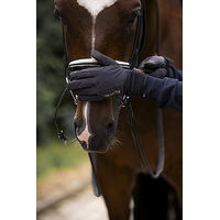 Produktbild von Roeckl Sports Reithandschuh Winsford Winter Neopren Waterproof Schwarz 7.5