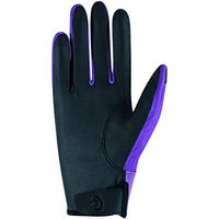 Produktbild von Roeckl Wing Winter Reithandschuhe wasserabweisend aus Polyester