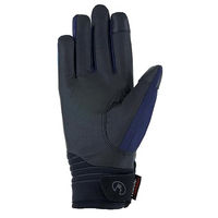Produktbild von Roeckl Winsford Winter Reithandschuhe Unisex wasserdicht Blau Größe 9