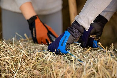 Roeckl Wisbech Reithandschuhe Winter Schwarz Unisex Größe 9.5 wasserabweisend – Bild 1 von 6